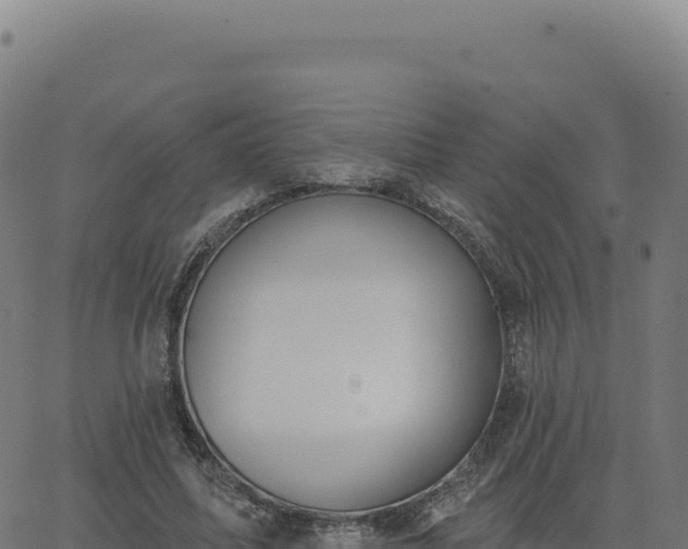 X0000062860587200601201731