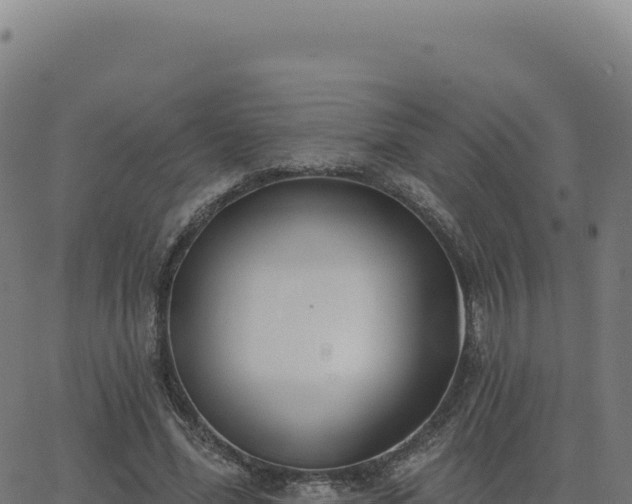 X0000062860588200601201731