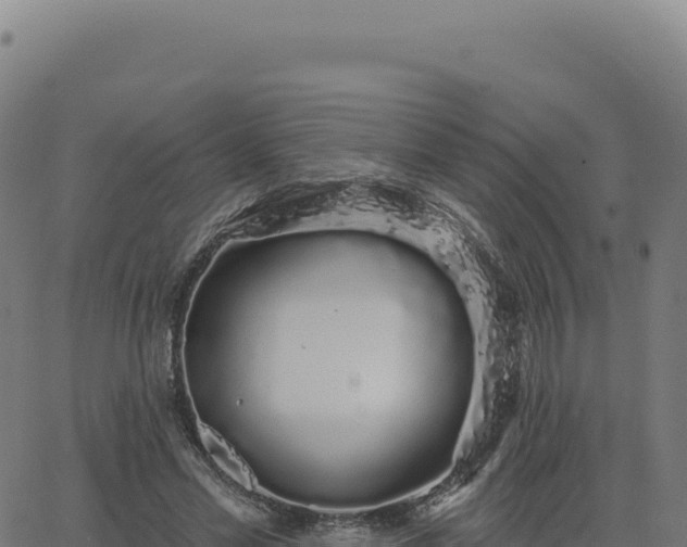 X0000062860589200601201731