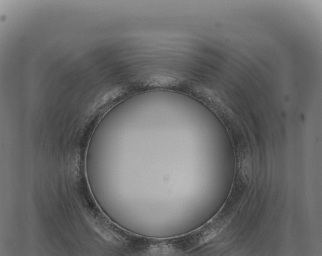 X0000062860591200601201731