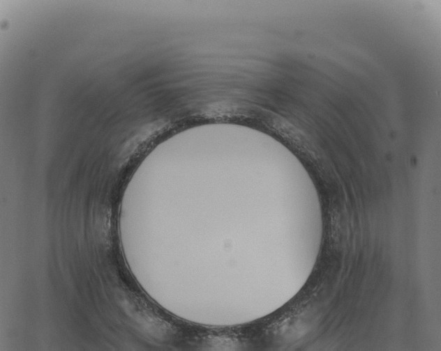 X0000062860592200601201731