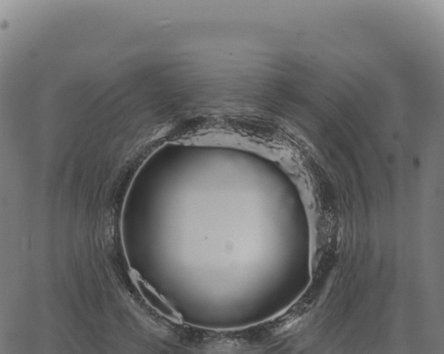 X0000062860593200601201731