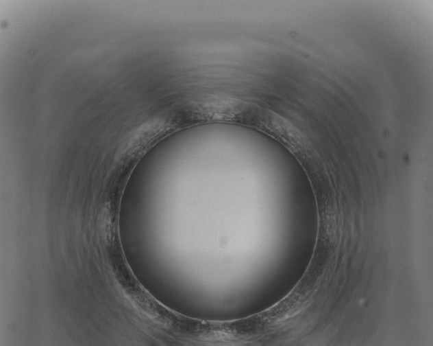 X0000062860594200601201731