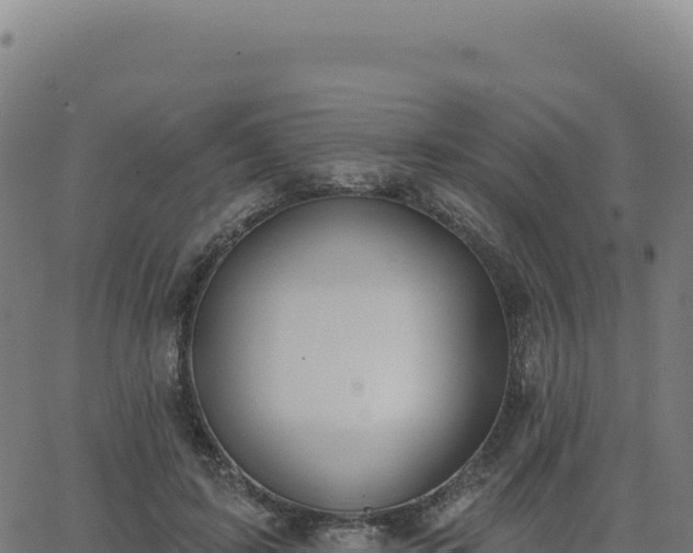 X0000062860595200601201731