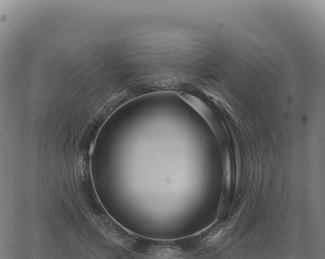 X0000062860597200601201731