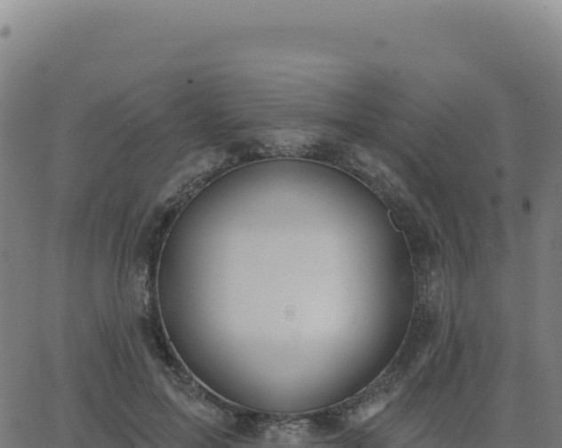 X0000062860599200601201731