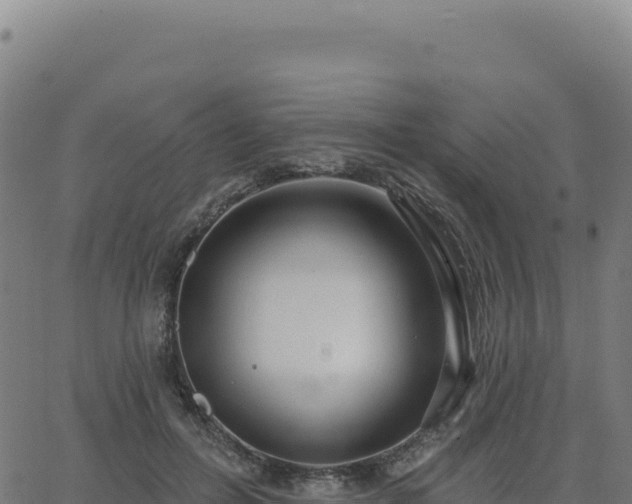 X0000062860600200601201731