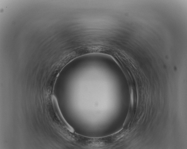 X0000062860601200601201731