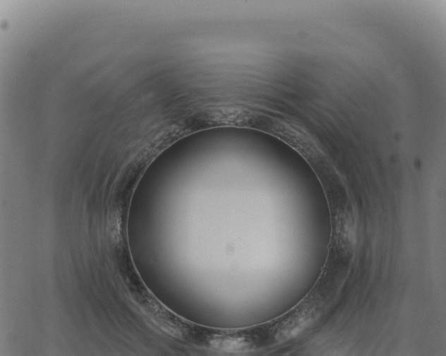 X0000062860602200601201731