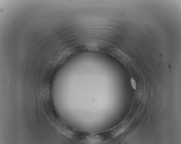 X0000062860603200601201731