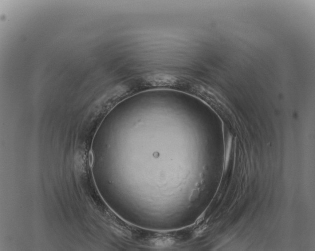 X0000062860604200601201731