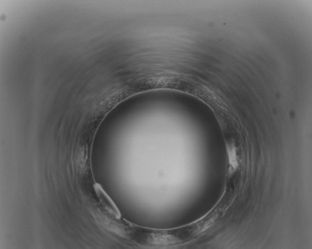 X0000062860605200601201731