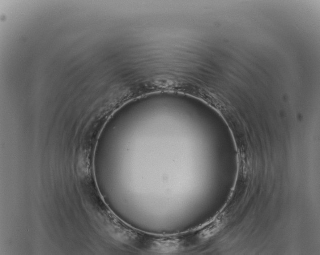 X0000062860606200601201730