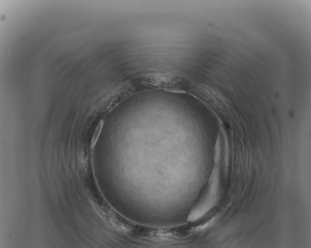 X0000062860607200601201730