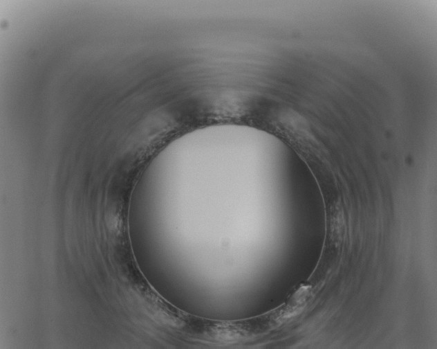 X0000062860608200601201730