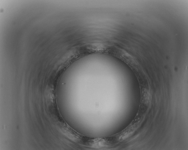 X0000062860612200601201730