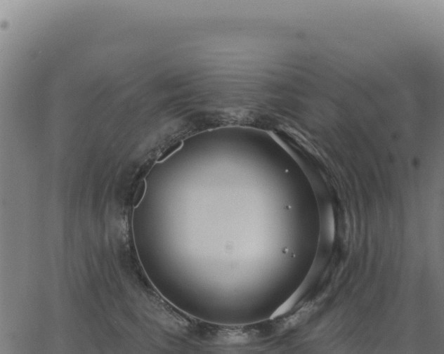 X0000062860613200601201730