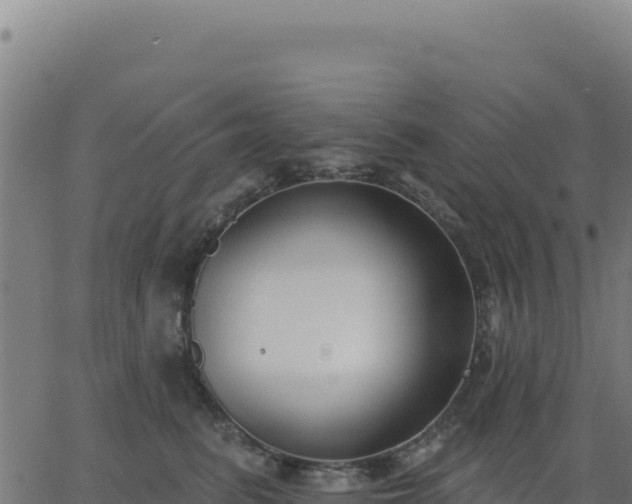 X0000062860615200601201730