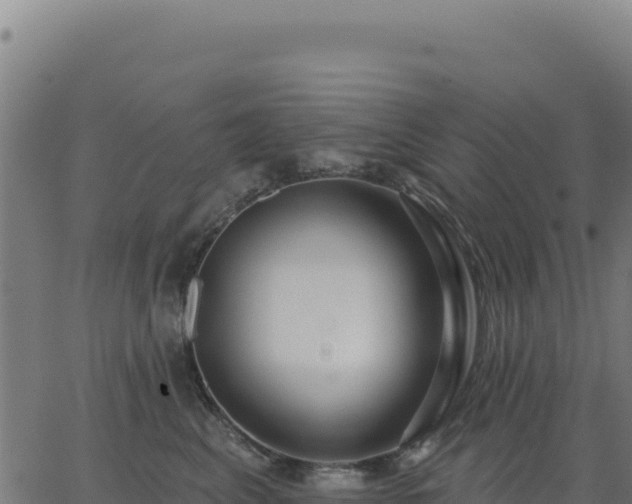 X0000062860617200601201730