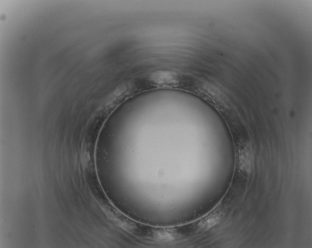 X0000062860618200601201730