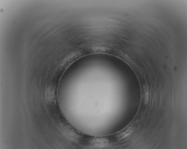 X0000062860619200601201730