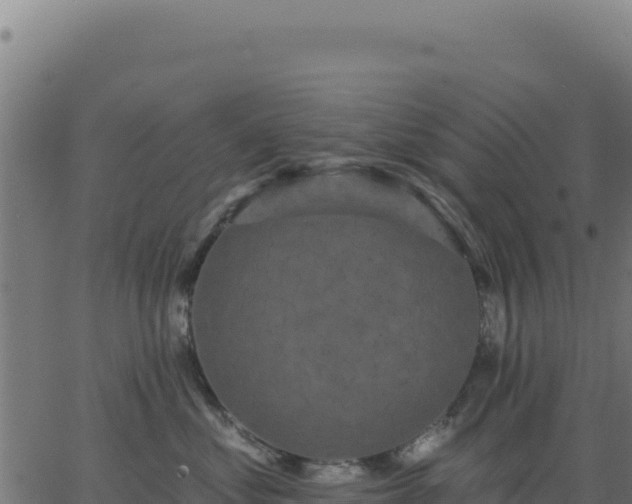 X0000062860621200601201730