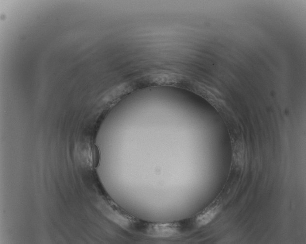 X0000062860622200601201730