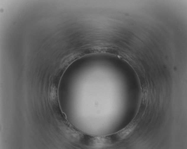 X0000062860623200601201730