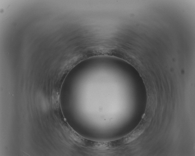 X0000062860624200601201730