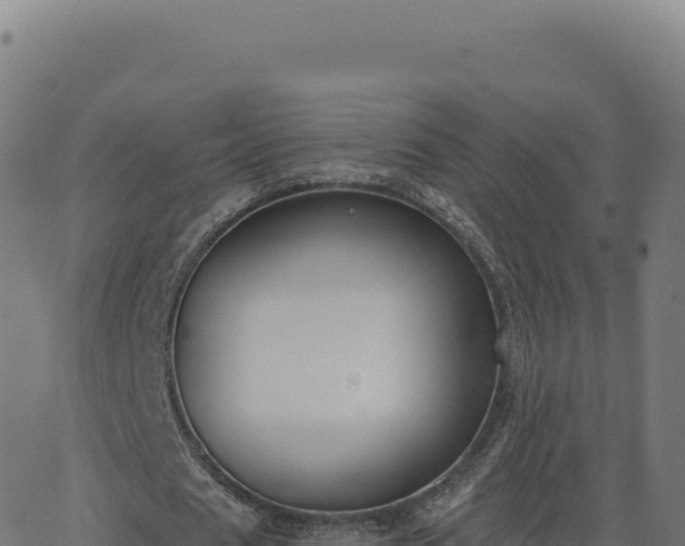 X0000062860625200601201729