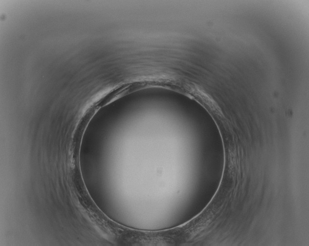 X0000062860628200601201729