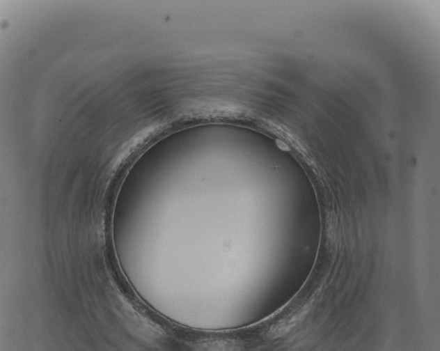 X0000062860629200601201729