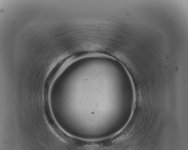 X0000062860630200601201729