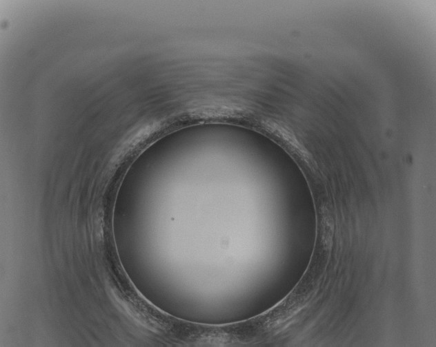 X0000062860631200601201730