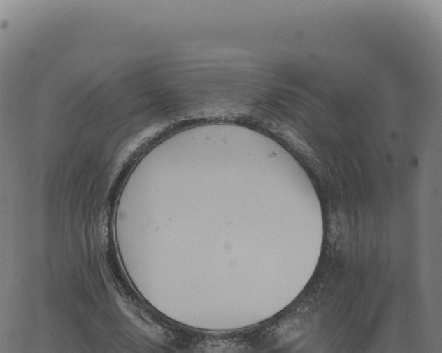 X0000062860632200601201730