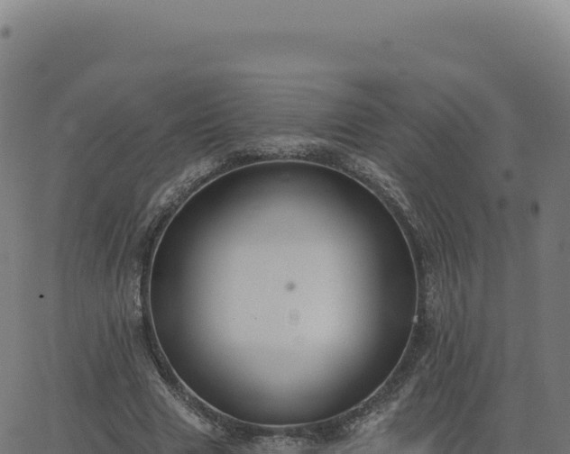 X0000062860633200601201730