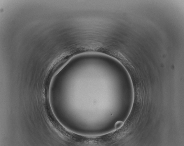 X0000062860634200601201730