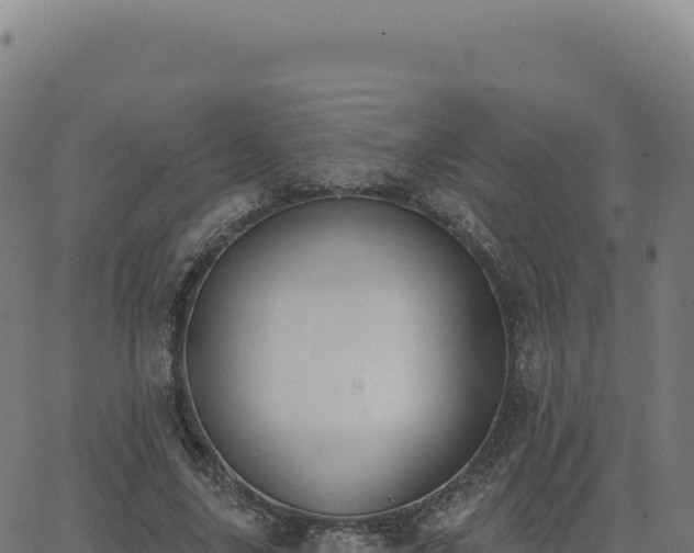 X0000062860635200601201730