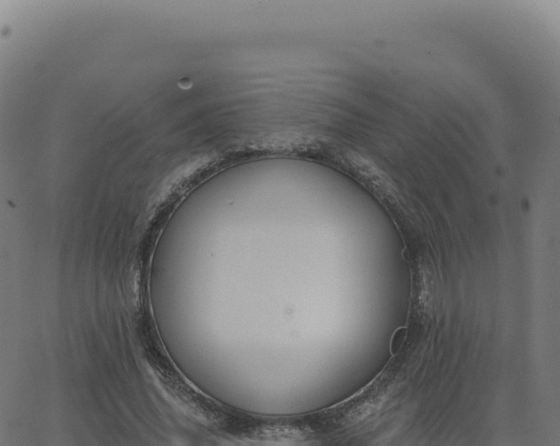 X0000062860636200601201730