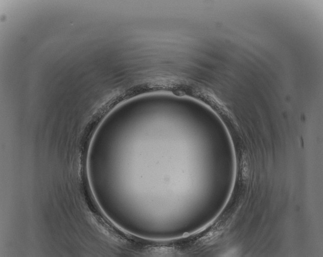 X0000062860637200601201730