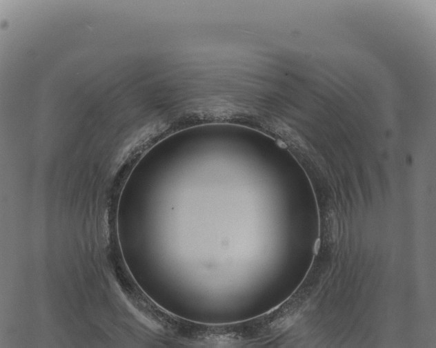 X0000062860638200601201730