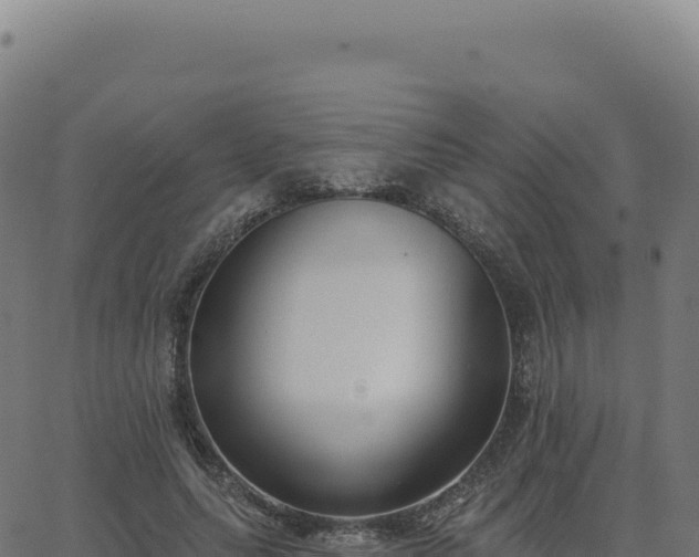 X0000062860639200601201730