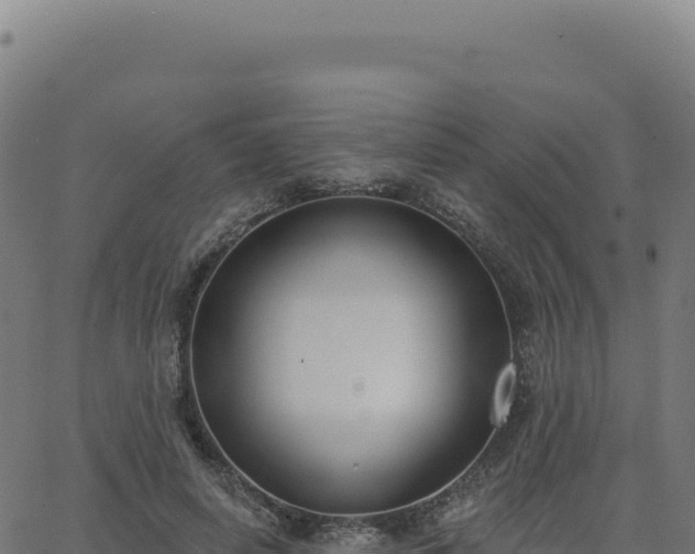 X0000062860642200601201730