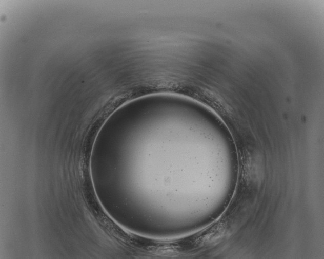 X0000062860643200601201730