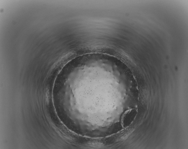 X0000062860644200601201730