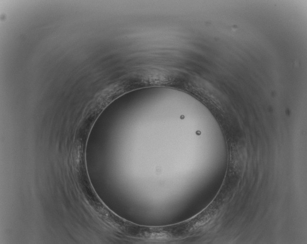 X0000062860645200601201730