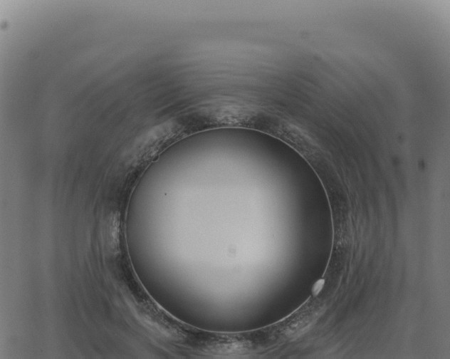 X0000062860646200601201730