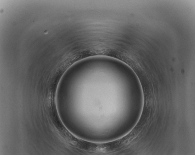 X0000062860647200601201730