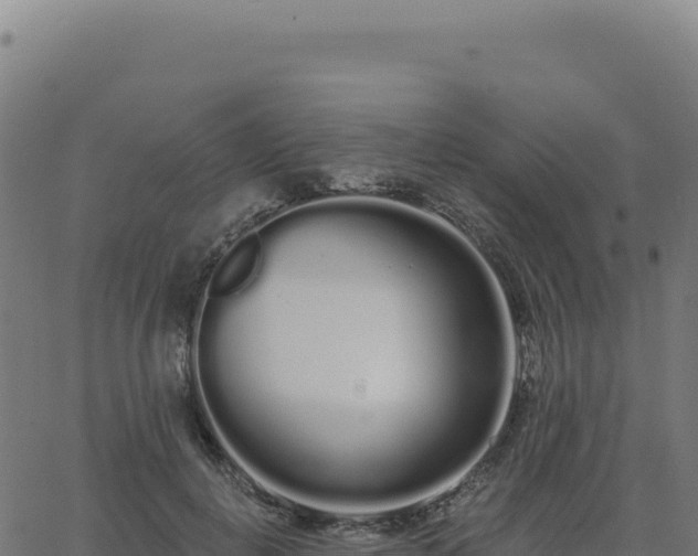 X0000062860648200601201730