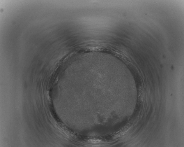 X0000062860650200601201730